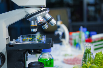 A modern research lab focused on plant genetic engineering, enhancing food and meat production. The lab is equipped with advanced cameras, capturing experiments and innovations.No people are present