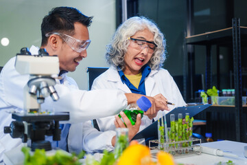 A female and male scientist conduct plant research in a laboratory, using microscopes, petri...