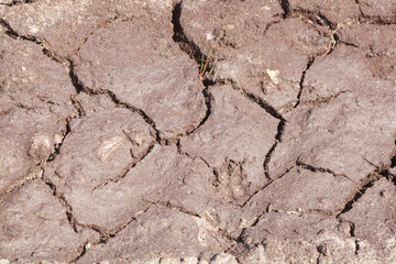 Ausgetrockneter rissiger Boden, Dürre, Trockenheit, Klimawandel, Deutschland