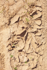 Ausgetrockneter rissiger Boden, Dürre, Trockenheit, Klimawandel, Deutschland