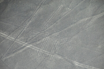 Aerial view of Nazca Lines - Dog geoglyph, Peru.