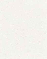 Obraz premium White Paper Texture Background