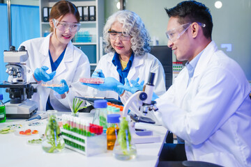 A male scientist and two women conduct plant research in a laboratory.  microscopes, petri dishes,test tubes to analyze genetically modified plants, food, meat, eggs,vegetables for nutritional value