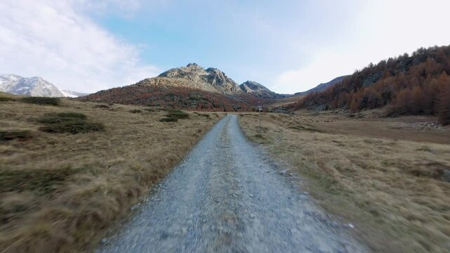 Aerial drone flying at low altitude over rural and unpaved road in Alpine landscape, Alpe Prabello in autumn, Italy. FPV