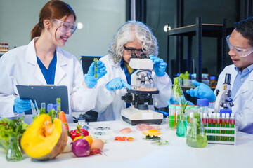 A male scientist and two women conduct plant research in a laboratory.  microscopes, petri dishes,test tubes to analyze genetically modified plants, food, meat, eggs,vegetables for nutritional value