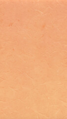 Fototapeta premium Coral Paper Texture Background