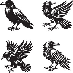 silhouette of crow