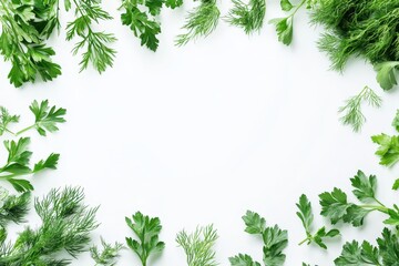 Fresh herbs arranged in a circular pattern on a white background for culinary purposes