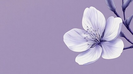 Obraz premium Elegant Ink-Washed Cherry Blossom Flower Branch with Lavender Background