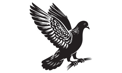 White Dove Flying Vector Illustration - Symbol of Peace and Freedom