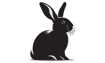 Black and white bunny isolated on white background, a small, adorable, fluffy pet