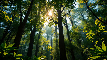 Sunlit Forest in Surreal Style with Tall Trees and Greenery