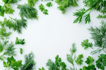 Fresh herbs arranged in a circular pattern on a light background showcasing various greens