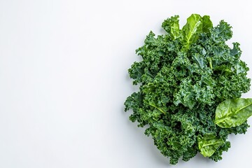 Fresh curly kale on white background, top view, healthy food