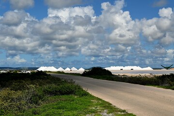 Salt winning Bonaire,
