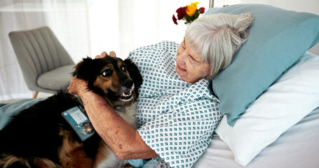 Senior, happy woman and hug with service dog on hospital bed for healthcare aid, assistance or...