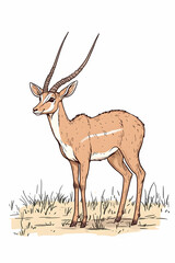 Illustration of a graceful gazelle standing in grassland.