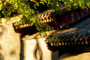 Traditional Chinese eave and roof tiles