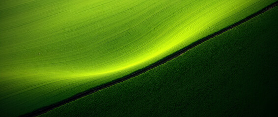 lines in the green field
