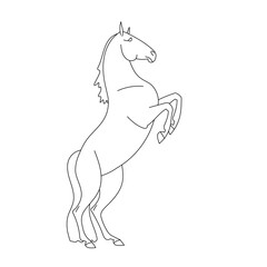 Outline illustration of a rearing horse in minimalistic black lines on a white background