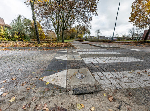 Autumn leaves litter a paved crosswalk with painted pedestrian markings.  Urban scene, likely European.