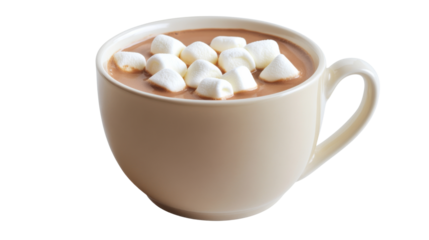 Cup of hot chocolate white marshmallow