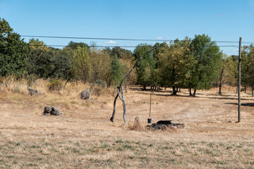 A nora ou azenha esquecida. Uma relíquia de um tempo passado num campo rural em Portugal