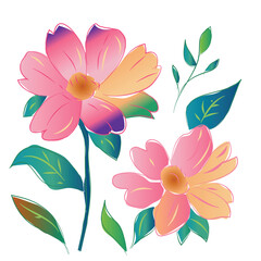 Flower Vector Illustration and Background