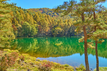 秋の長野県茅野市の御射鹿池(みしゃかいけ)の紅葉の反射