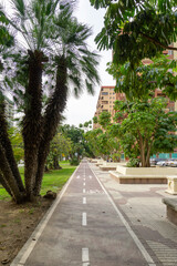 The Network of Cycle Lanes in Malaga City.
