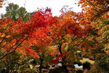 渓石園の紅葉