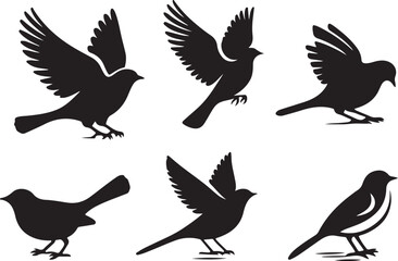 Bird silhouette vector illustration. black and white silhouette of a bird collection.