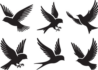 Bird silhouette vector illustration. black and white silhouette of a bird collection.