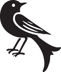 Bird silhouette vector illustration. black and white silhouette of a bird collection.