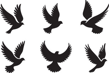 Bird silhouette vector illustration. black and white silhouette of a bird collection.