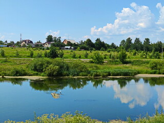 Fototapeta premium Rural summer on the outskirts of Moscow