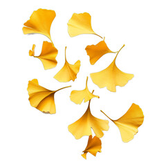 Naklejka premium A close up of yellow leaves scattered across a white background. The leaves are arranged in a way that creates a sense of movement and flow, as if they are floating in the air