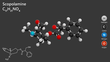 Molecule: Scopolamine. Molecular structure. Formula: C17H21NO4. Chemical model: Ball and stick. Gray background. 3D illustration.