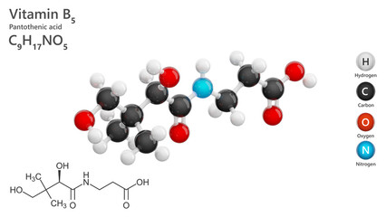 Pantothenic acid or B5 vitamin. 3d model of molecule. Molecular formula: C9H17NO5. Chemical model: Ball and Stick. White background. 3d illustration