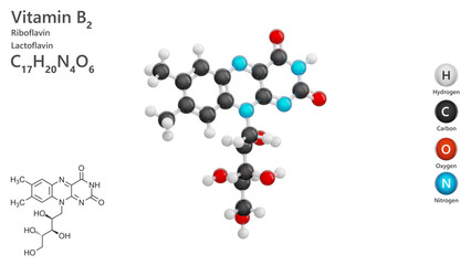 Riboflavin or B2 vitamin. 3d model of molecule. Molecular formula: C17H20N4O6. Chemical model: Ball and Stick. White background. 3d illustration