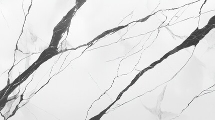 Fototapeta premium Elegant White and Black Marble Texture Background