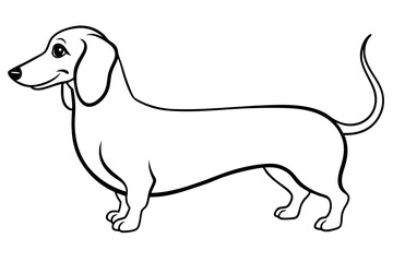 Dachshund Dog Vector Line Art Design