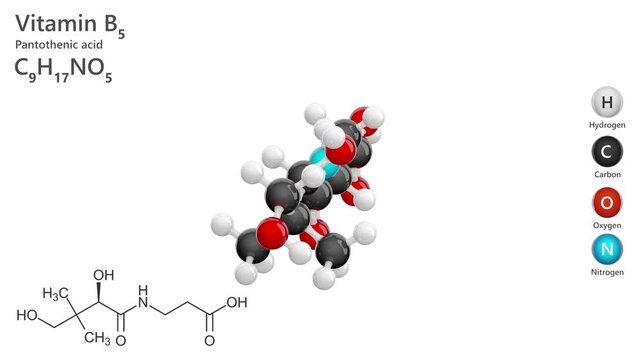 Pantothenic acid or B5 vitamin. Animated 3d model of molecule. Molecular formula: C9H17NO5. Chemical model: Ball and Stick. White background. 3D rendering. Seamless loop.