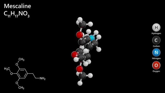 Mescaline. Hallucinogenic substance. Animated 3D model of a molecule. Molecular formula: C11H17NO3. Chemical model: Ball and sticks. Black background. 3D rendering. Seamless loop.