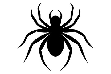 spider Insect Vector silhouette design