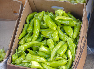 Green Peppers in Box at Farmers Market