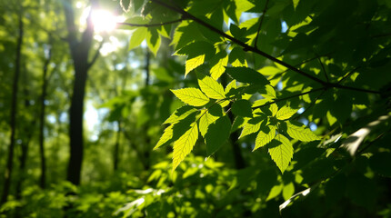 Gentle Forest Scene with Vibrant Green Leaves and Soft Light