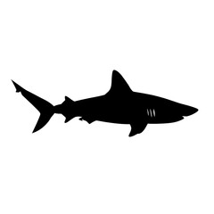 Fototapeta premium Shark Silhouette: A Majestic Ocean Predator