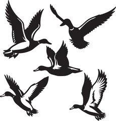 silhouette set of mallard in flying poses, black and white silhouette set , vector