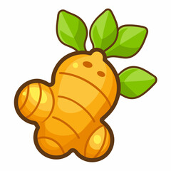 ginger root and leaf on a white background